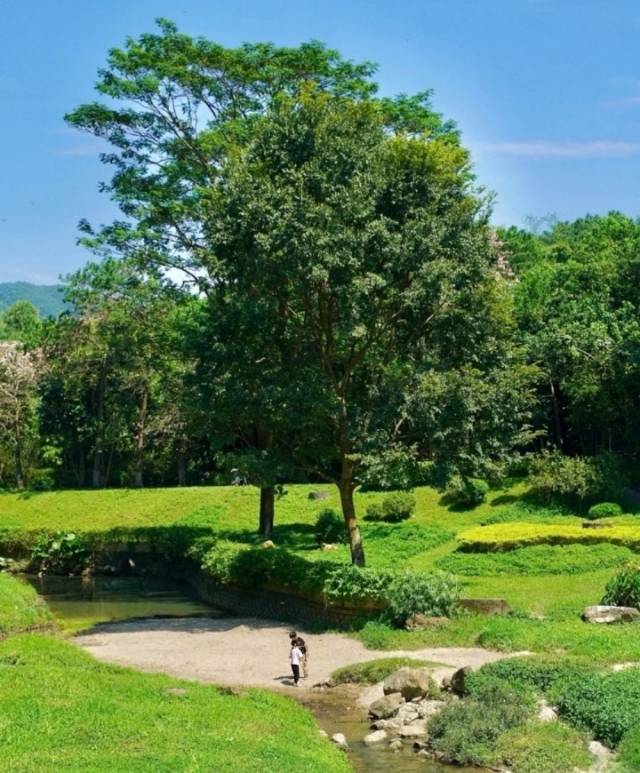 威尼斯人平台，广州市区天然氧吧。