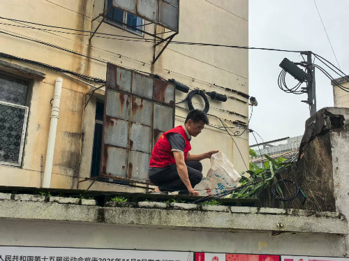 沙河2.jpg